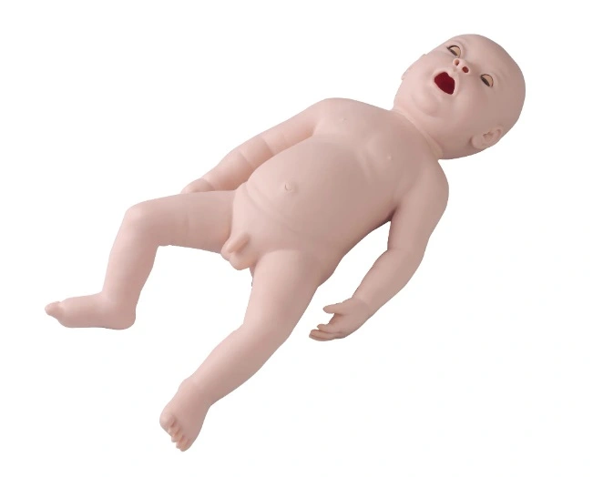 newborn simulation model