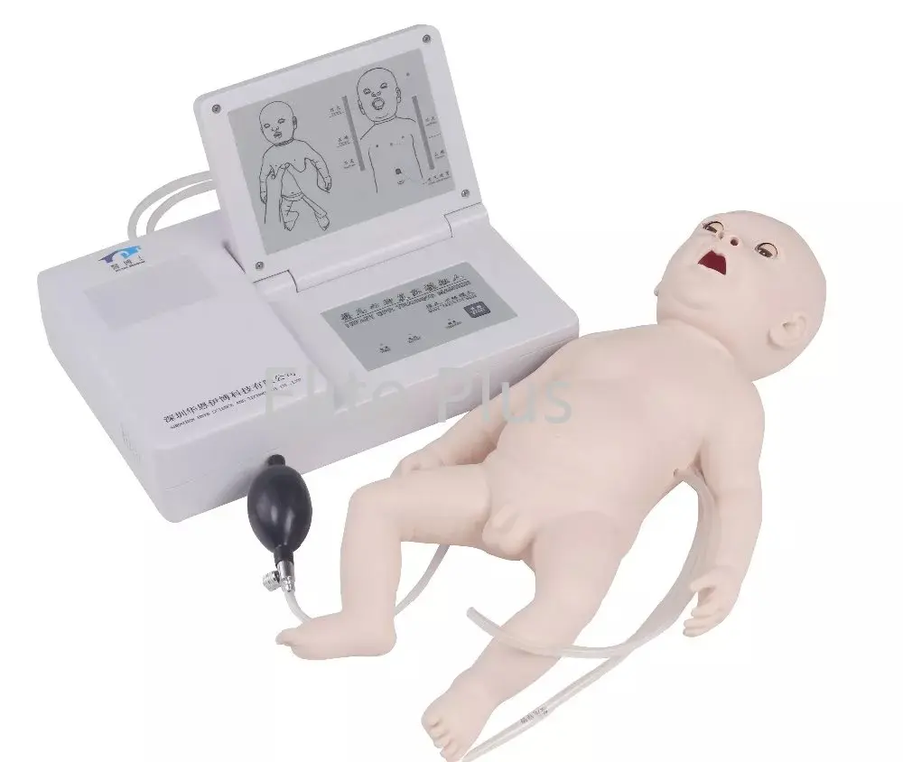 newborn simulation model