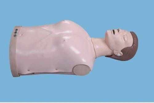 intubation simulation model