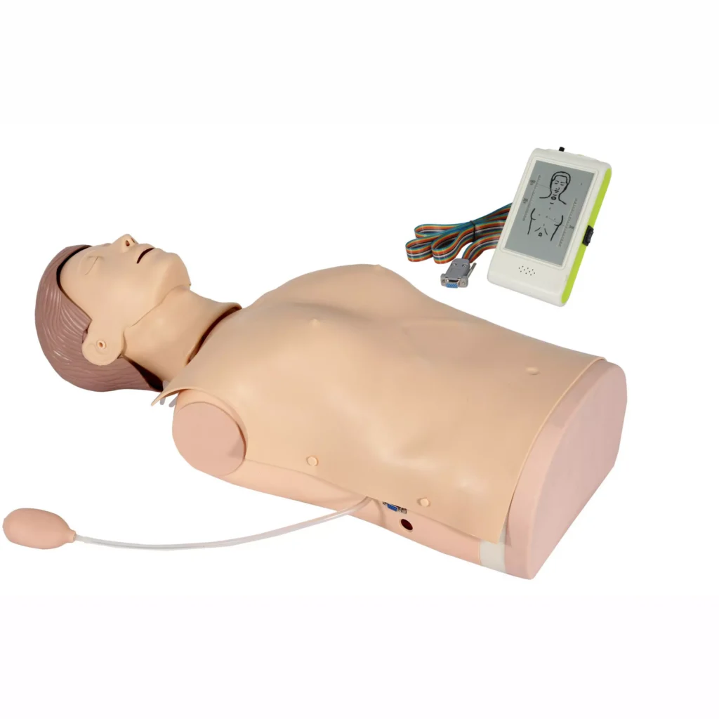 intubation simulation model