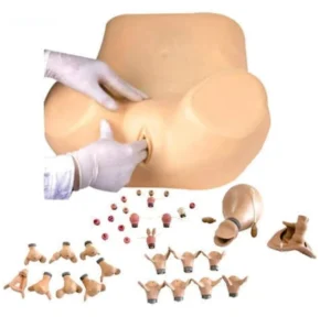 Obstetric birth simulation model