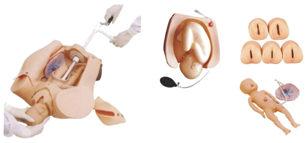 Obstetric birth simulation model