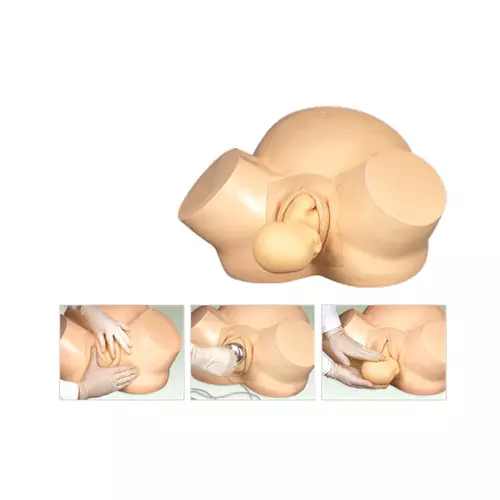 Obstetric birth simulation model