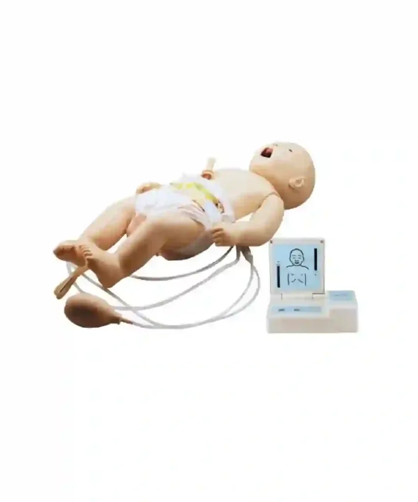 newborn simulation model
