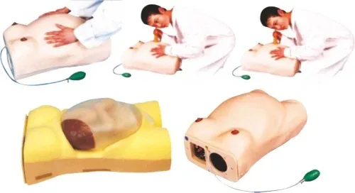 CPR training manikin models