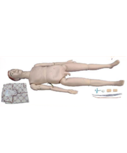 male clinical skills training manikin