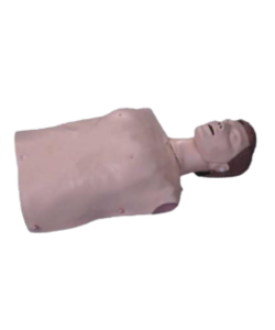 intubation simulation model