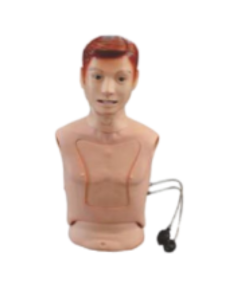 intubation simulation model