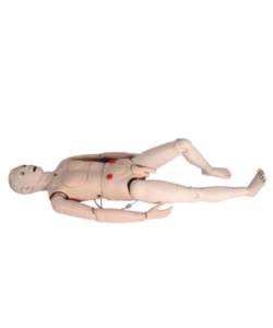 male clinical skills training manikin