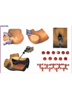 Medical anatomy training models