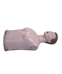 intubation simulation model