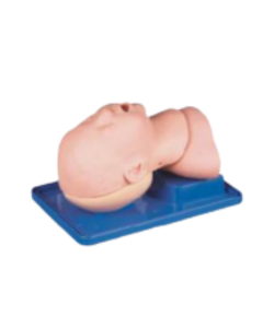 intubation simulation model