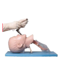 Pediatric intubation simulation model