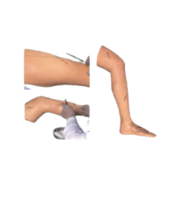 Suture training leg