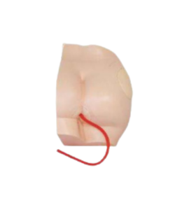 Nursing urinary catheter model
