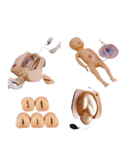 Obstetric birth simulation model