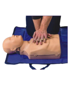 cpr simulation model