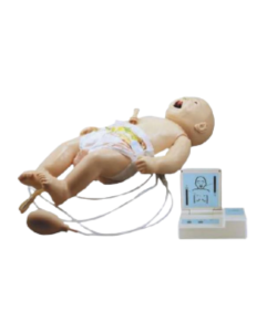 newborn simulation model