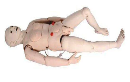 male clinical skills training manikin