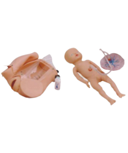 Obstetric birth simulation model