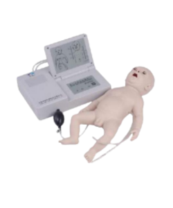 newborn simulation model