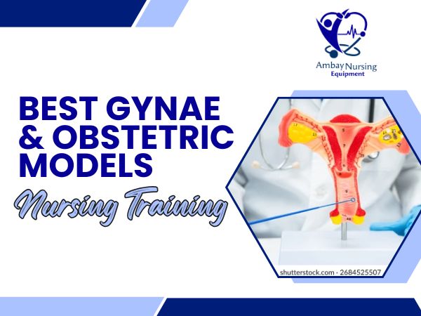 Best Gynae and Obstetric Models for Nursing Training