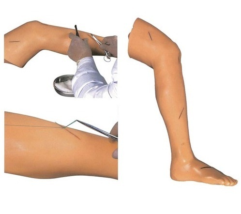 Suture training leg