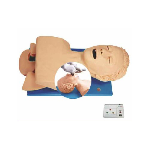 intubation simulation model