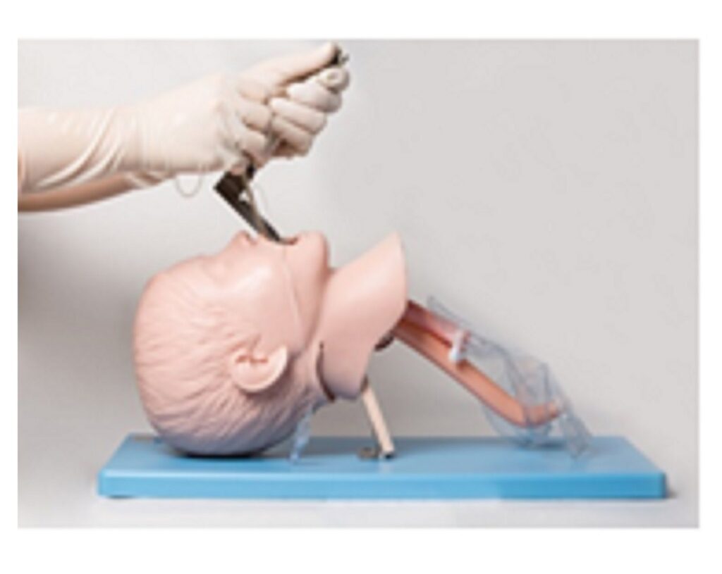 Pediatric intubation simulation model
