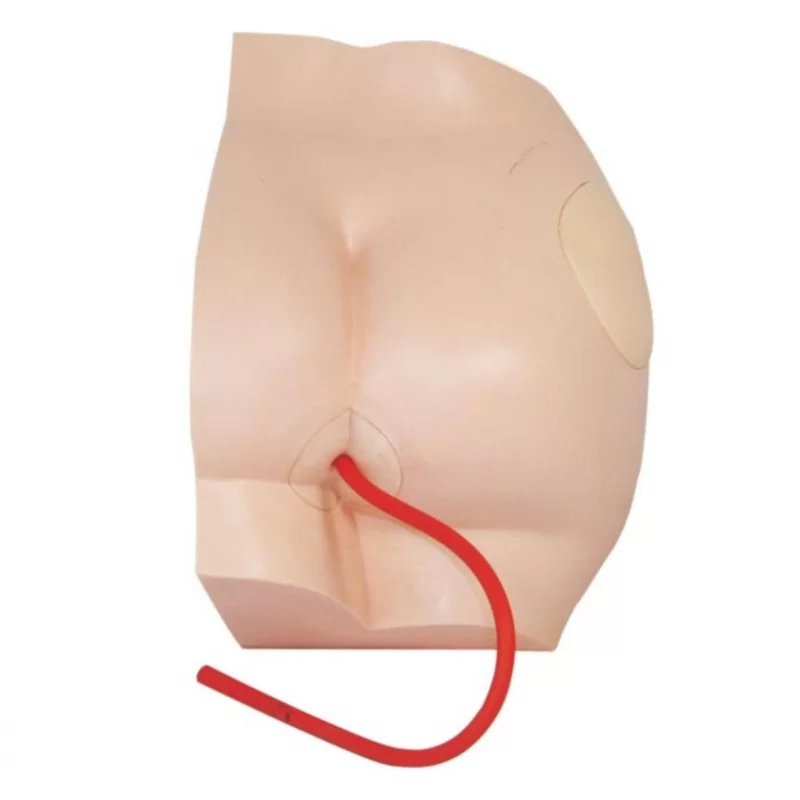 Nursing urinary catheter model