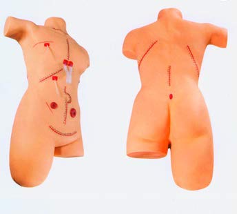 Suture practice torso model