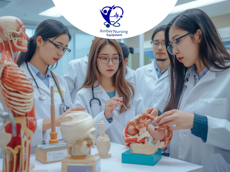 Medical models for anatomy learning and training