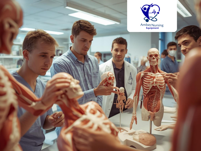 Medical models used in modern medical education